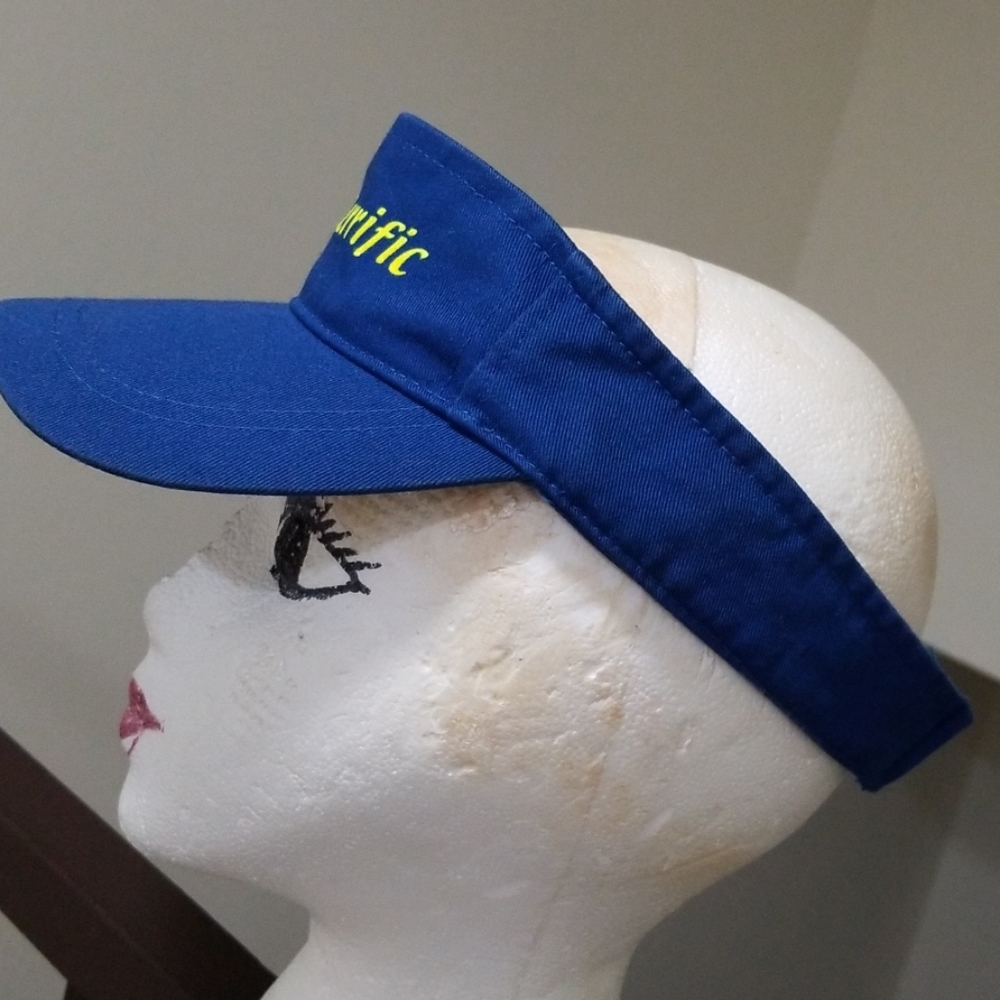 Blue Sun Visor - Picture 4 of 7